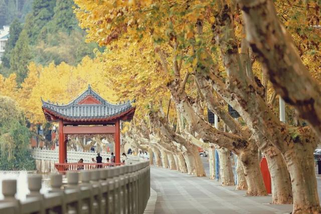 今日立冬！接下来~你就能看到这样的井冈山！