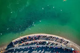 宜宾长江水质改善明显，游泳市民：经常被大鱼撞腰撞得痛图片