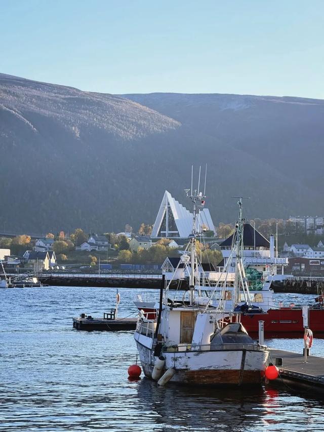 北欧来信：冬日三重奏，日常即风景