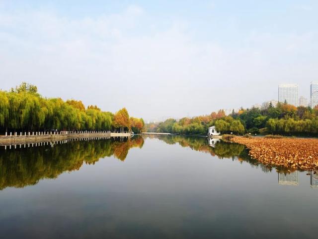 五彩斑斓！巩义市区这个宝藏打卡地迎来颜值巅峰→