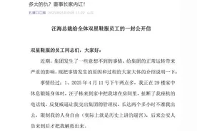 双星名人董事长发公开信称遭遇“逼宫”？旗下全资子公司：可信度不高，公司正常经营中图片