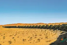 砺兵大漠！陆军某旅组织火力分队开展实弹射击训练图片