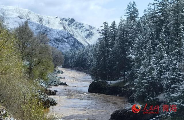 祁连山下秋日邂逅初雪