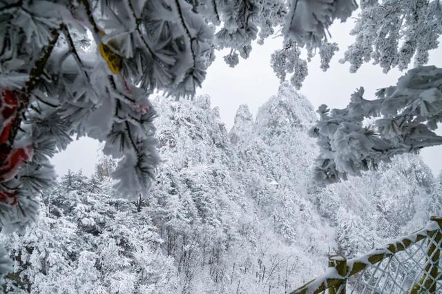 冬日登高正当时，免门票福利千万别错过~