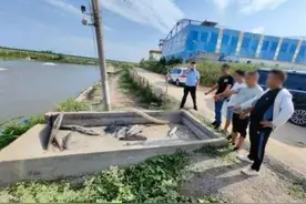 钓场以钓鱼为噱头变相组织赌博 襄阳警方破获首起“标鱼”赌博案图片