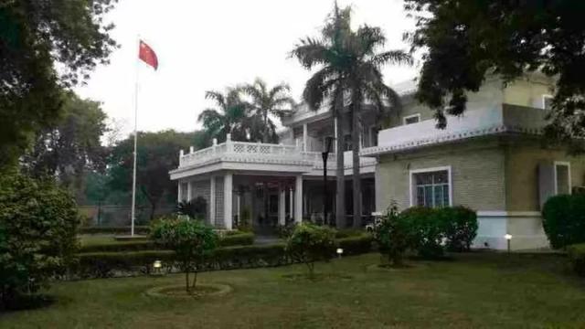 干鮸鱼胶的做法 2026年干鱼胶的正确做法和吃法视频