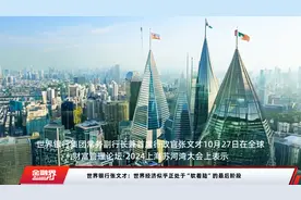 世界银行张文才：世界经济似乎正处于“软着陆”的最后阶段视频封面