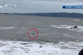 大浪卷走母女，危急时刻他们逆浪前行！图片