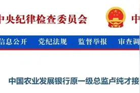 中国农业发展银行卢纯才被查！图片