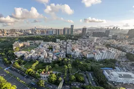 南头古城“深双”分展场，呈现春景梧桐与城村拼图图片