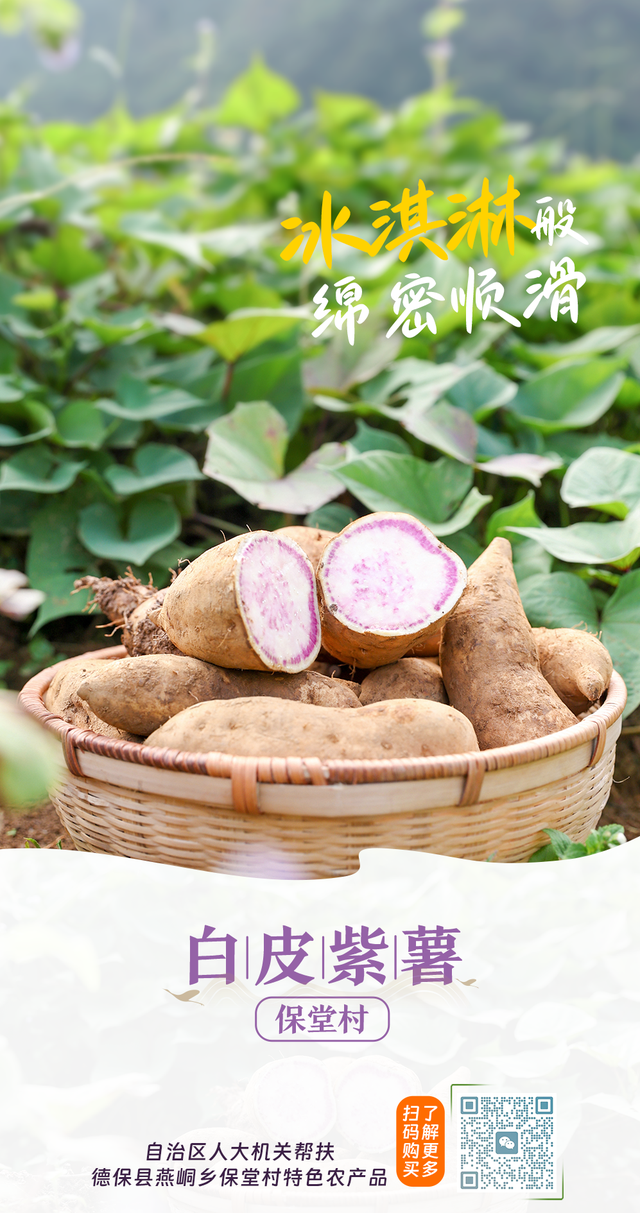 广西：用9.62亿人次的相遇，奏响民族团结进步新乐章