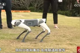 智能机器人→无人机 中国前沿科技创新领域“硬核突破”令人惊艳图片