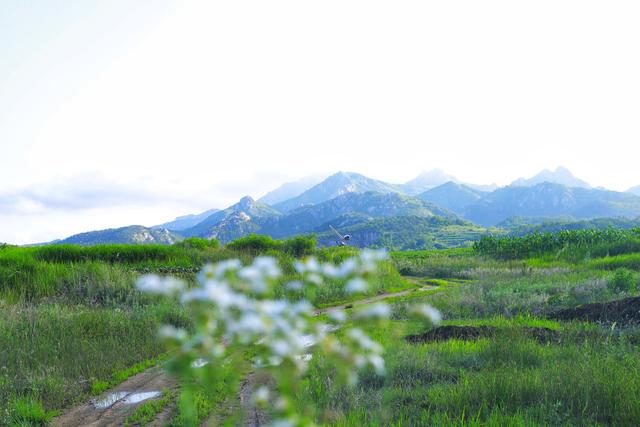 “山东邂逅美”摄影大赛｜美丽乡村：玉皇山后村夏日美景