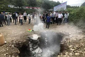 专家齐聚关岭 点赞紫茎泽兰防控图片