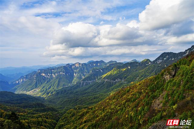 华中屋脊，秋色无边！这里是神农架