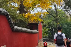 大雾黄色预警！泰城今天阴有小雨！爬泰山的游客，建议择期游览图片
