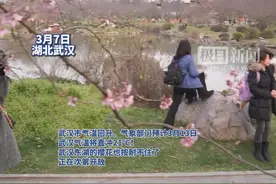 相约春天赏樱花|直冲21℃，泰国人都来东湖赏樱花啦！图片