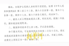 “男子强奸嫂子出狱后又刺死见义勇为者”案二审择日宣判，受害者之子：父亲是村干部，好打抱不平图片