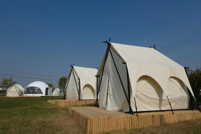 开放预约！大河村国家考古遗址公园即将开园