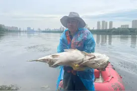 屡禁不止！@沈阳市民：发现非法捕捞请及时举报图片