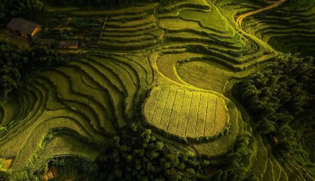 秋日江西，一场山川与丰收的治愈之旅