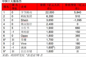 2025全球独角兽榜出炉，长沙四家企业上榜图片