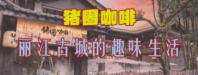 撸猪、攀岩……云南这些咖啡馆太会玩