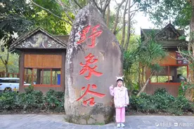 西双版纳野象谷，与大象互动太欢乐图片