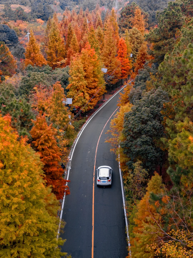 溧水赏秋指南，这周末就出发！