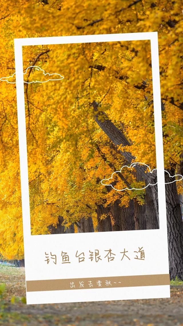 还在凑满减？这里的绝美秋景免费派送中——