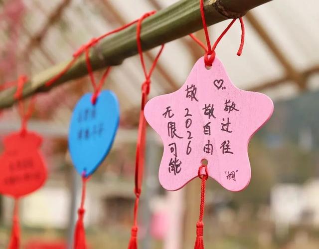 2026 跨年去西充！这场治愈之旅别错过～