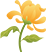 顶流上线，快来湖熟赏菊
