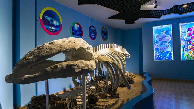 春节遛娃好去处 石林冰雪海洋世界推出2月限定梦幻灯展夜场