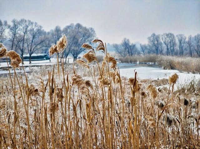 遇见2025年五大连池第一场雪，年年落雪，雪落年年～