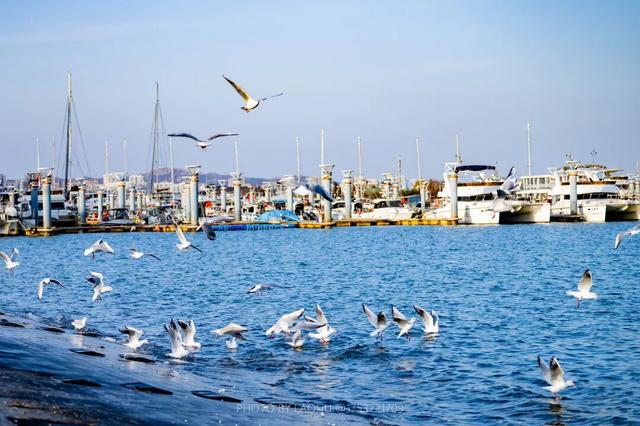 听说，冬天来日照大家都干这件事……