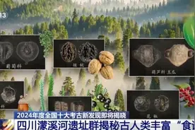 东亚古人类“食谱”有哪些？稻作文明起源密码是啥？答案来了图片