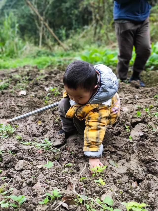 8个好友在福建抱团山居：减少物欲，尝试在山里养育下一代