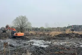 芜湖大阳垾公园迎来开园以来的首次清淤图片