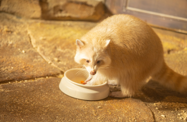 桂林融创乐园海世界，这样玩！