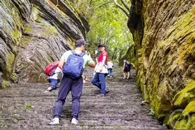 周末好天气 徒步金佛山图片