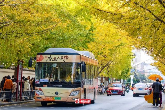 人从众！荆州这条街上“长”满了人……