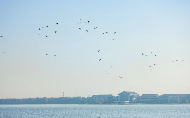 美翻了！南湖，正是红橙黄绿时