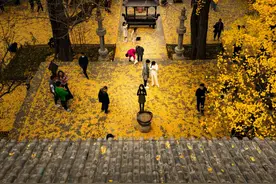 打卡灵岩寺 | 游客照特辑NO.1！大家都很会拍！图片