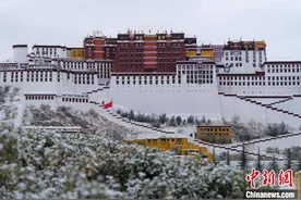 西藏布达拉宫景区暂停对外开放图片