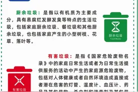 逾期不改要罚款！惠州垃圾分类新办法5月1日执行图片
