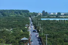 时令美景催生文旅活力 南昌高新区白鹤小镇秋冬游热度持续升温图片