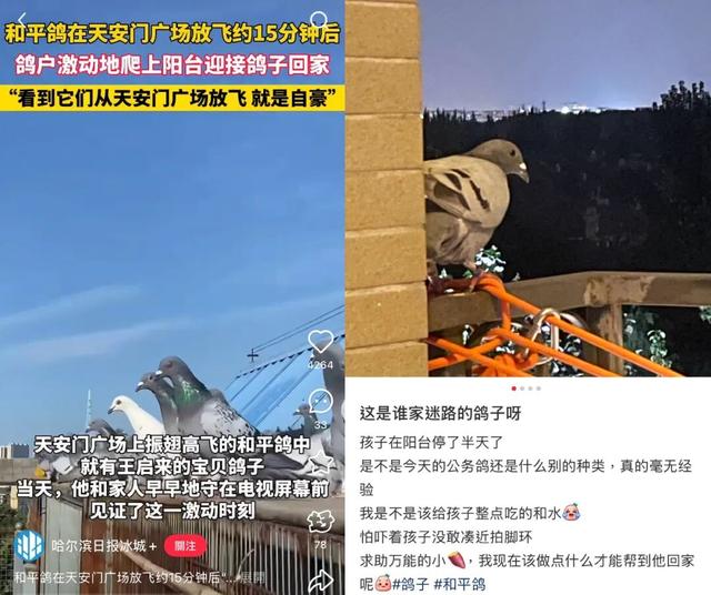 阅兵当天的北京处处都有追飞机的人
