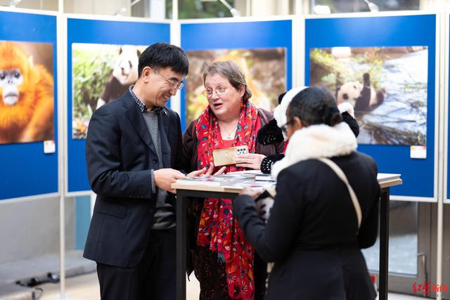 一场跨越山海的文化与生态对话，“成都熊猫周”欧洲行圆满收官