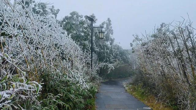 美到词穷！郴州首场雾凇惊艳上线