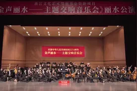 《金声丽水》交响音乐会激情奏响图片